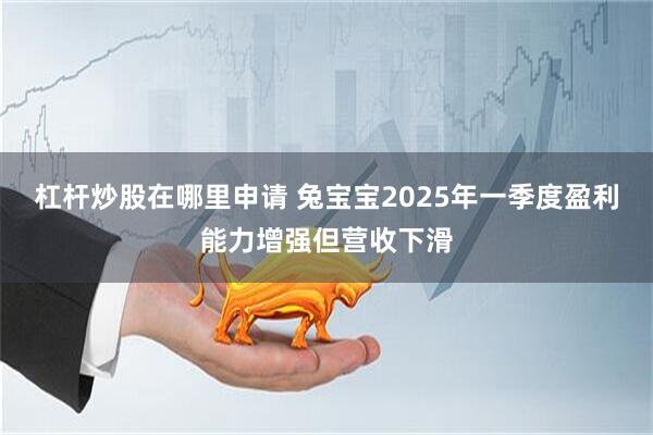 杠桿炒股在哪里申請 兔寶寶2025年一季度盈利能力增強但營收下滑